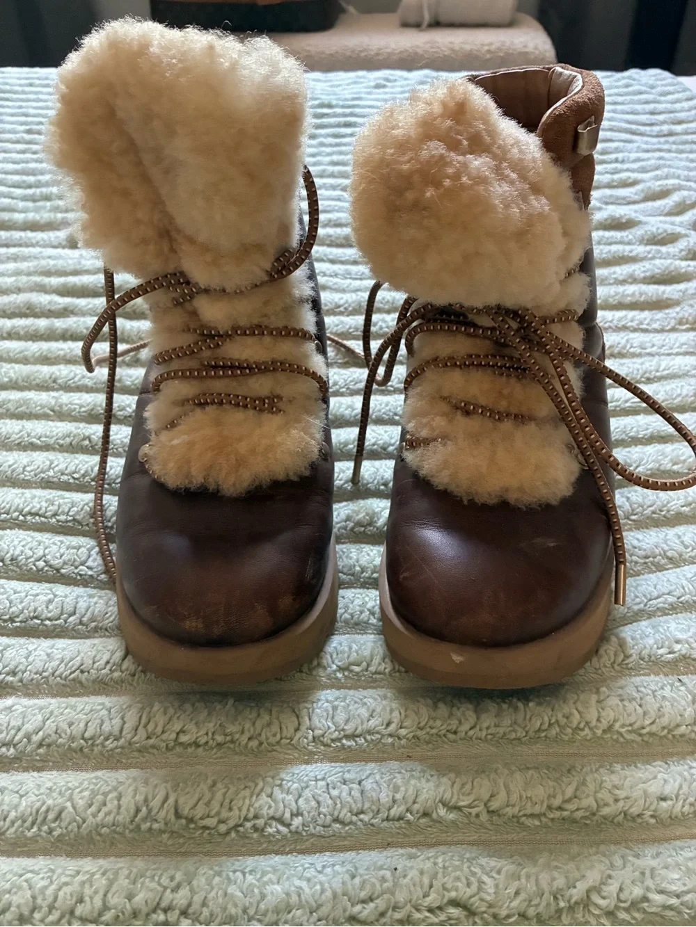 UGG Women’s Chestnut Shearling-Lined Boot